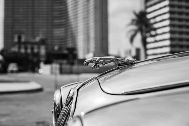 Betobet Casino Android/iOS App